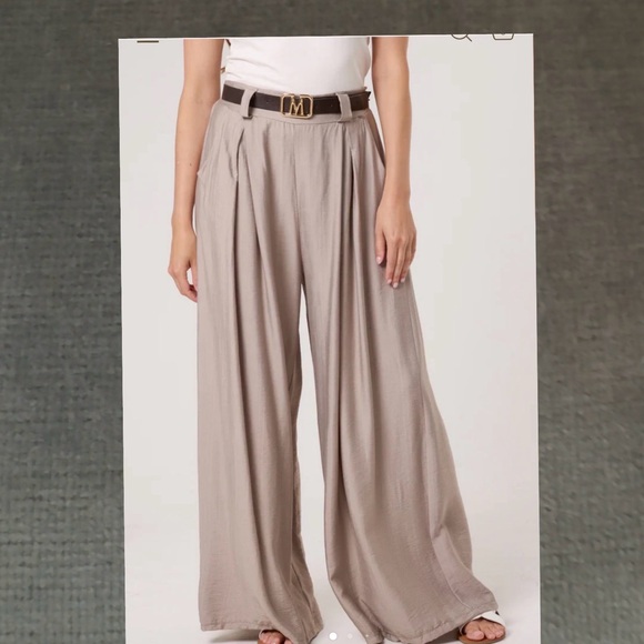 Milano Pants - Milano, Ettan Taylor Wide Leg Pleated Palazzo Pants - Green